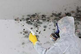 Asbestos and Lead Testing During Mold Inspection in Stonybrook, PA